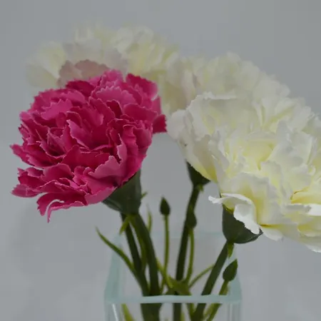 Feriehus Kamis Neos Marmaras