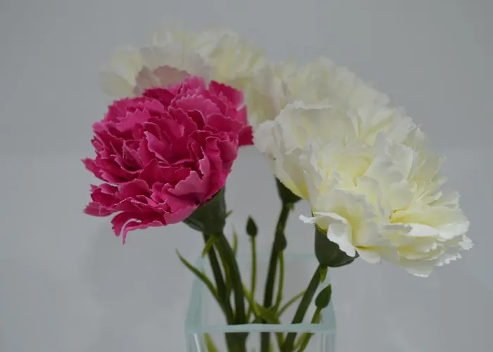 Casa de Férias Kamis Néos Marmarás